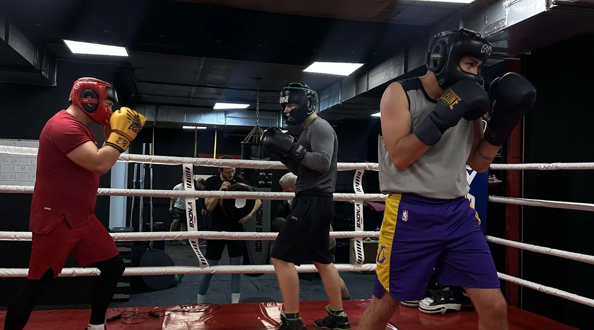 Чому у боксерів гостре і сухе тіло?